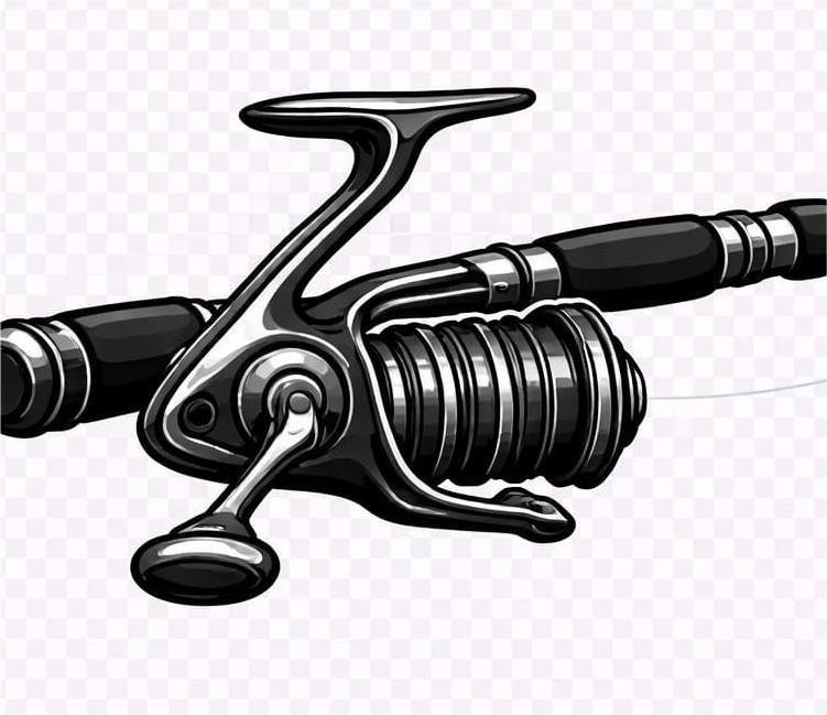 სპინინგი