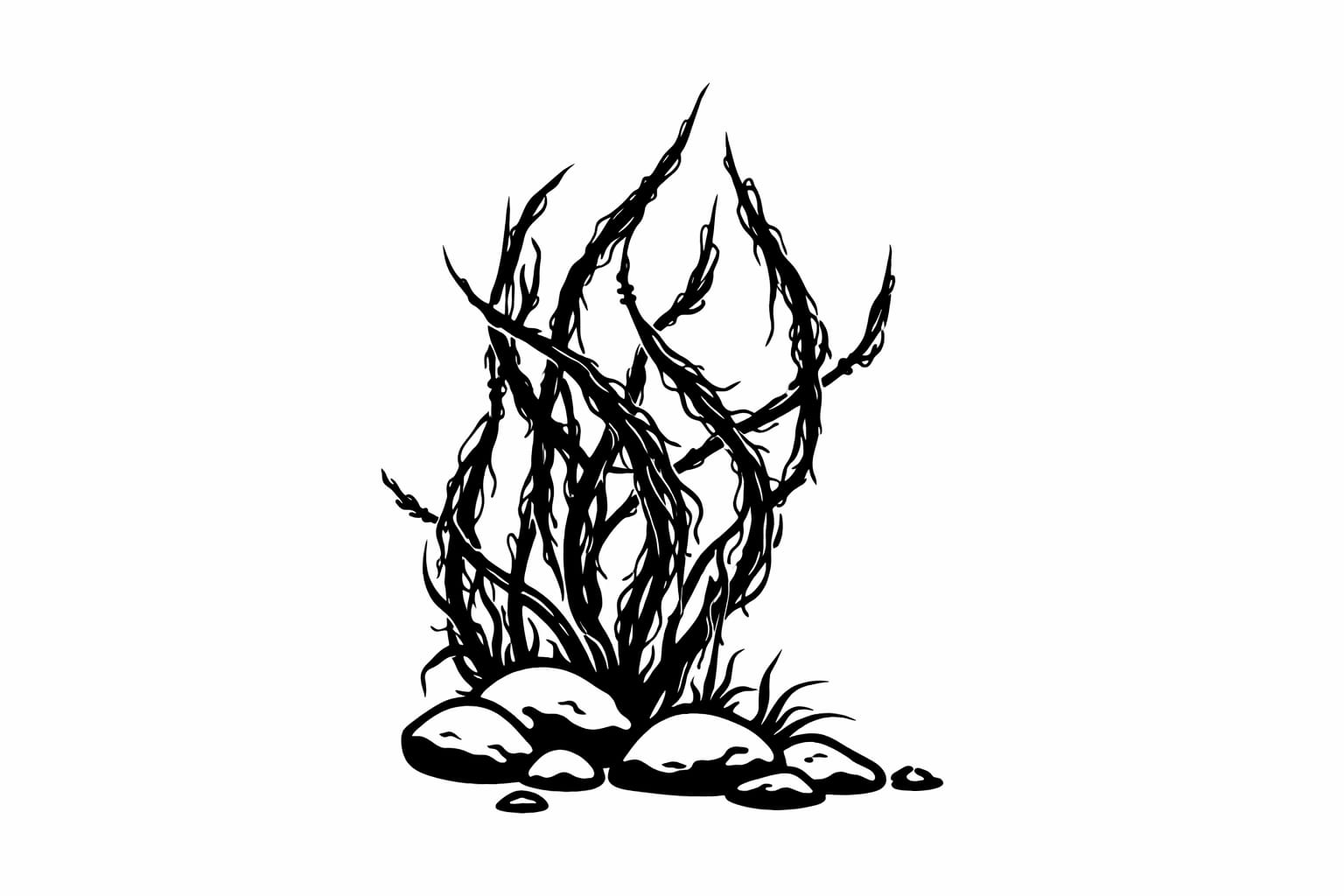 ზამთრის თევზაობა